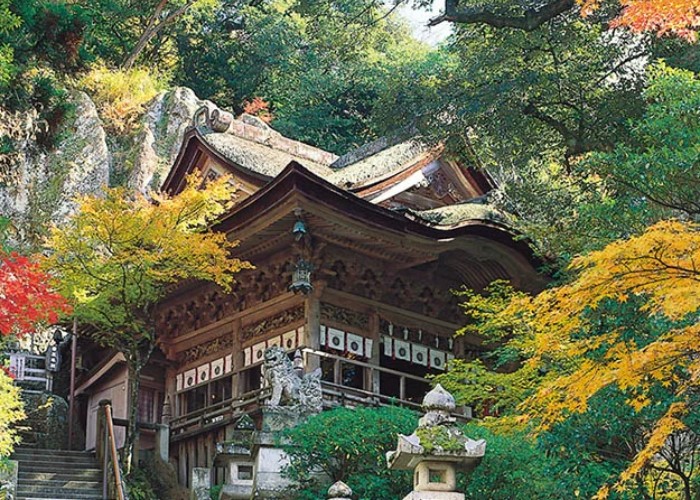 A traditional Japanese temple in the mountains, surrounded by trees and leaves of green, yellow, orange, and red.